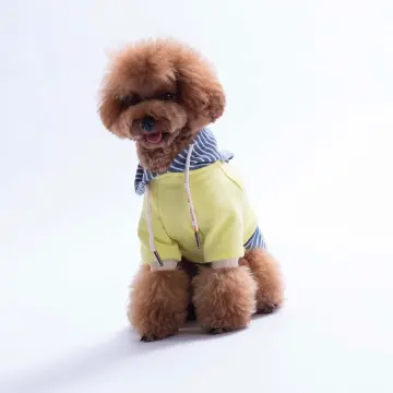 PawStar 226722 Yeşil Sera Stripe Hoodie