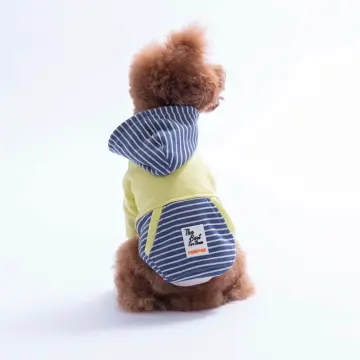 PawStar 226722 Yeşil Sera Stripe Hoodie