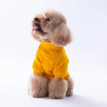 PawStar Sarı Cactus Kaşkorse Sweat