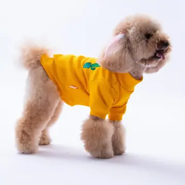 PawStar Sarı Cactus Kaşkorse Sweat