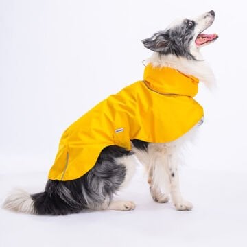 PawStar Sarı Colombia Yağmurluk