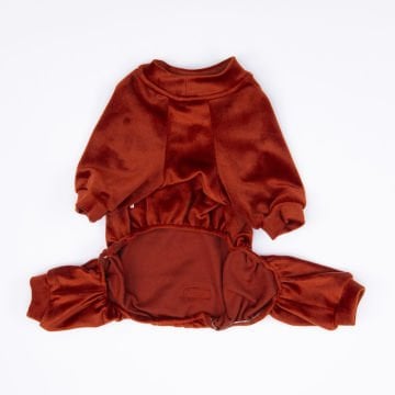 PawStar Kiremit Angers Tulum Küçük ve Orta Irk