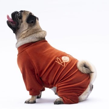 PawStar Kiremit Angers Tulum Küçük ve Orta Irk