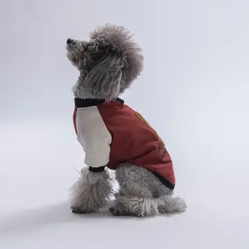 PawStar 26714 - Kahverengi Baby Teddy Sweat