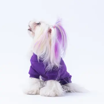 PawStar Mor Ice Cream Kaşkorse Sweat