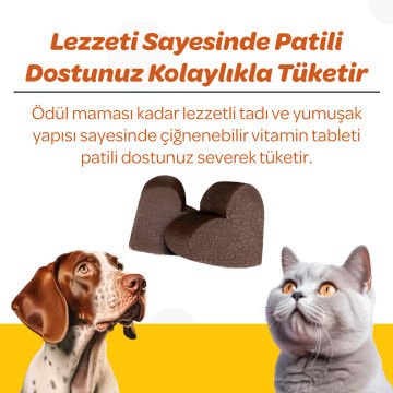 Vet's Plus Immune Kedi ve Köpekler İçin Bağışıklık Sistemi Destekleyici Çiğnenebilir Tablet (60'lı)