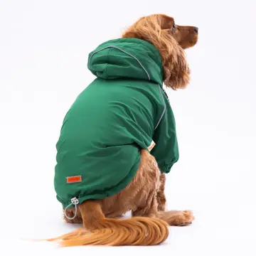 PawStar Yeşil Pluvia Küçük ve Orta Irk Yağmurluk