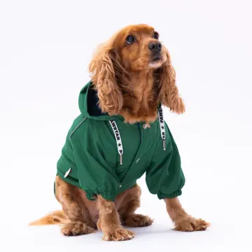 PawStar Yeşil Pluvia Küçük ve Orta Irk Yağmurluk