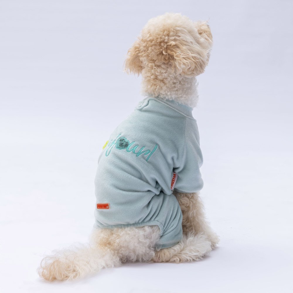 PawStar Mint Angers Tulum Küçük ve Orta Irk