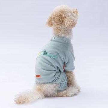 PawStar Mint Angers Tulum Küçük ve Orta Irk