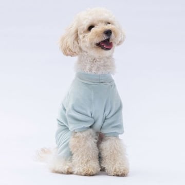 PawStar Mint Angers Tulum Küçük ve Orta Irk