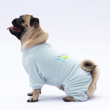 PawStar Mint Angers Tulum Küçük ve Orta Irk