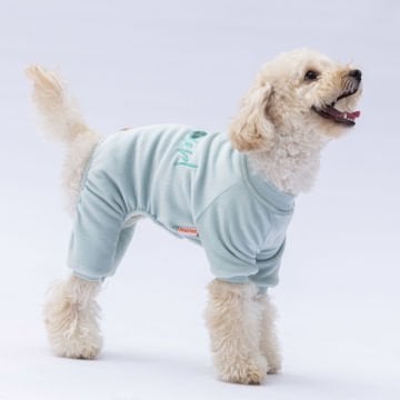 PawStar Mint Angers Tulum Küçük ve Orta Irk