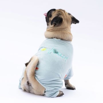 PawStar Mint Angers Tulum Küçük ve Orta Irk