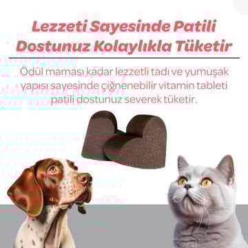 Vet's Plus Senior Yaşlı Kedi ve Köpekler İçin İnülin ve Glukozamin Çiğnenebilir Tablet (60'lı)