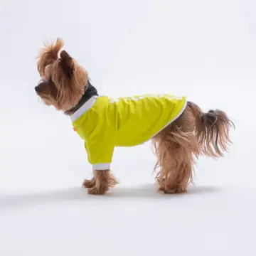PawStar 26713 Sarı YourSelf Love Sweat
