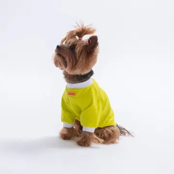 PawStar 26713 Sarı YourSelf Love Sweat