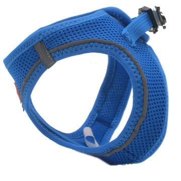 PawStar  Royal Blue Airmesh Köpek Göğüs Tasması