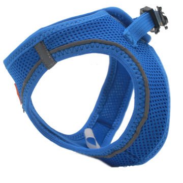 PawStar  Royal Blue Airmesh Köpek Göğüs Tasması