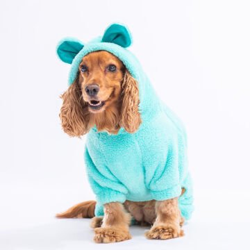 PawStar Mint Koala Küçük Irk Tulum