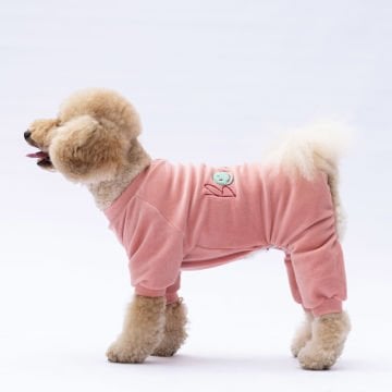 PawStar Rose Angers Tulum Küçük ve Orta Irk