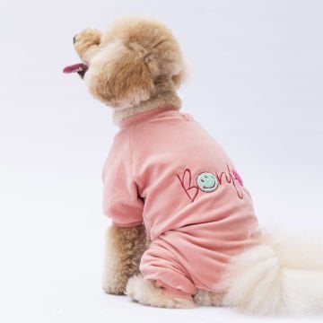 PawStar Rose Angers Tulum Küçük ve Orta Irk