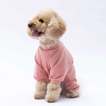 PawStar Rose Angers Tulum Küçük ve Orta Irk