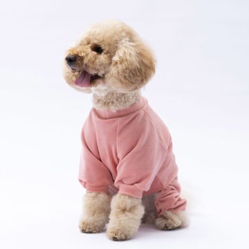 PawStar Rose Angers Tulum Küçük ve Orta Irk