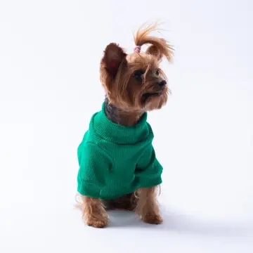 PawStar Yeşil Avocado Kaşkorse Sweat