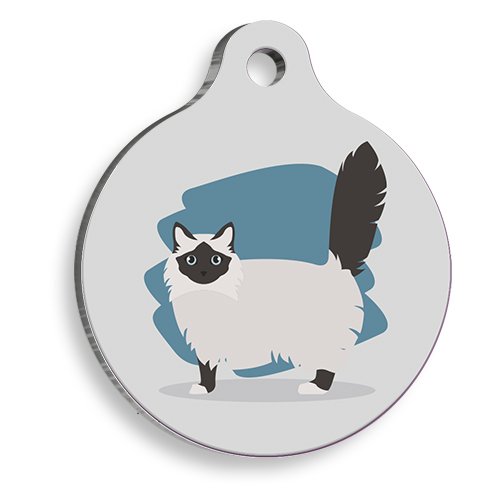 Balinesian Yuvarlak Kedi Künyesi Medium 3 cm