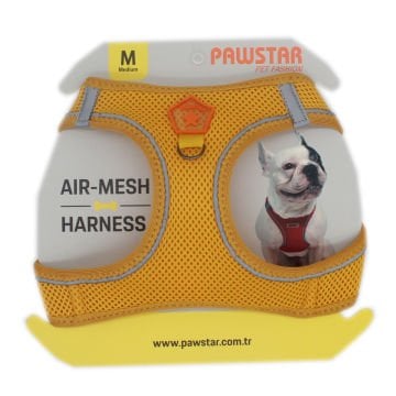 PawStar  Gold Airmesh Köpek Göğüs Tasması