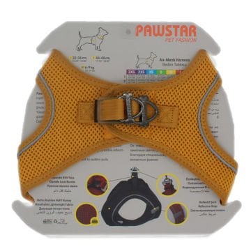 PawStar  Gold Airmesh Köpek Göğüs Tasması