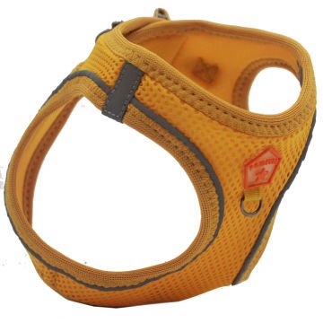 PawStar  Gold Airmesh Köpek Göğüs Tasması