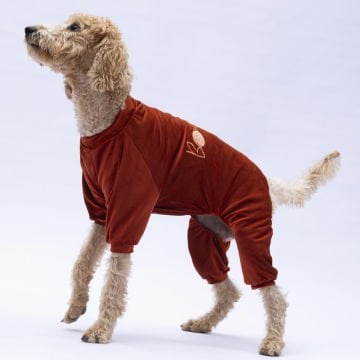 PawStar Kiremit Angers Büyük Irk Tulum