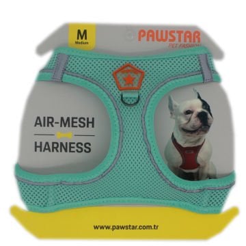 PawStar  Mint Airmesh Köpek Göğüs Tasması