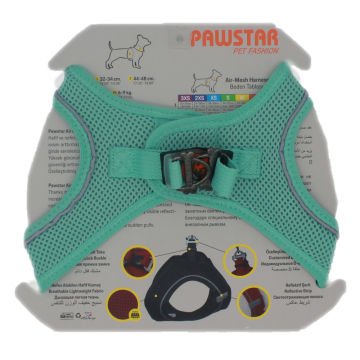 PawStar  Mint Airmesh Köpek Göğüs Tasması