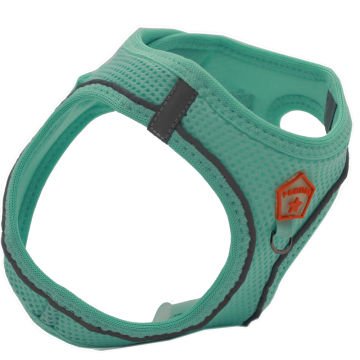 PawStar  Mint Airmesh Köpek Göğüs Tasması