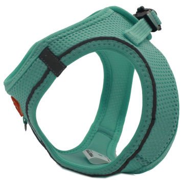 PawStar  Mint Airmesh Köpek Göğüs Tasması