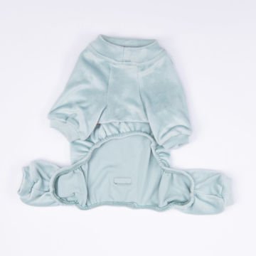 PawStar Mint Angers Büyük Irk Tulum