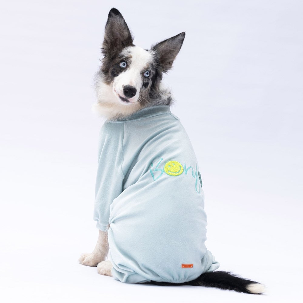 PawStar Mint Angers Büyük Irk Tulum