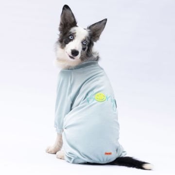 PawStar Mint Angers Büyük Irk Tulum