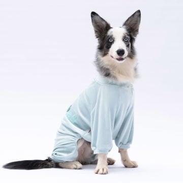 PawStar Mint Angers Büyük Irk Tulum