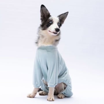 PawStar Mint Angers Büyük Irk Tulum