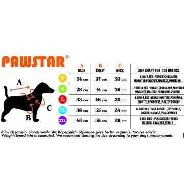 PawStar Sarı Railway Küçük ve Orta Irk Yelek