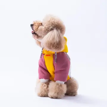 PawStar Sarı Rio Hoodie Küçük ve Orta Irk