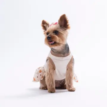 PawStar 26307 Teddy Belle Elbise
