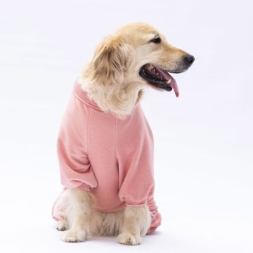 PawStar Rose Angers Büyük Irk Tulum