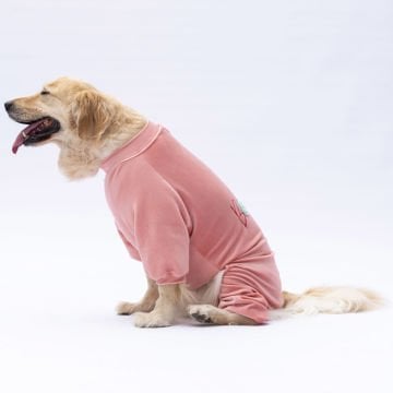 PawStar Rose Angers Büyük Irk Tulum