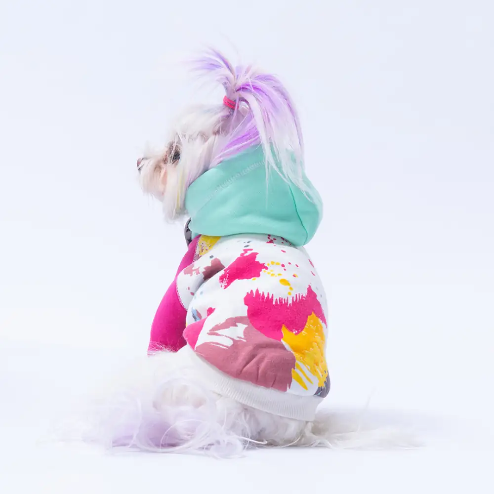 PawStar Mint Rio Hoodie Küçük ve Orta Irk