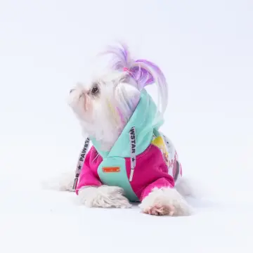 PawStar Mint Rio Hoodie Küçük ve Orta Irk